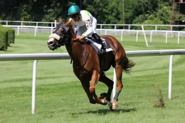 A jockey racing a horse.